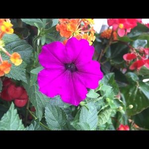 Meet your Posher, Karen